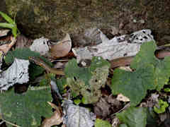 626875e6.jpg