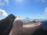tenori-fuji