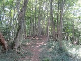 yuuhodou