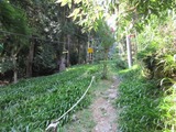 rihuto