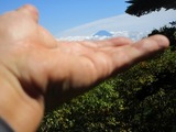 tenorifuji