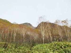 yakedake-mein