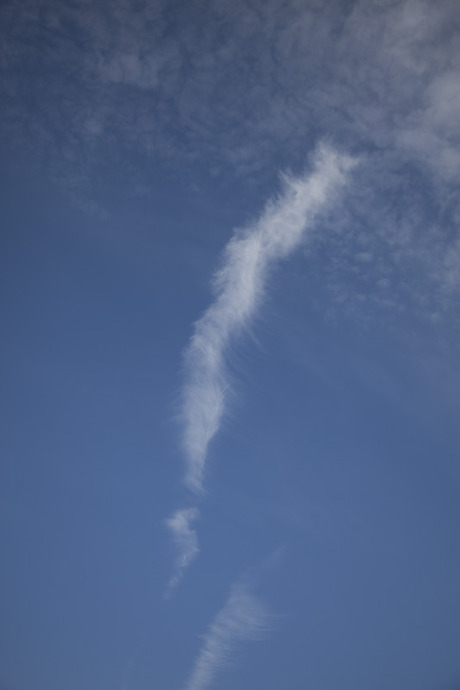 DSCF2209