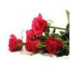 images-18