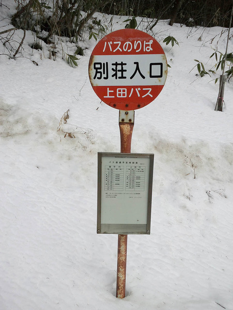 吉田ブログ写真