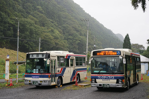 DSC06000