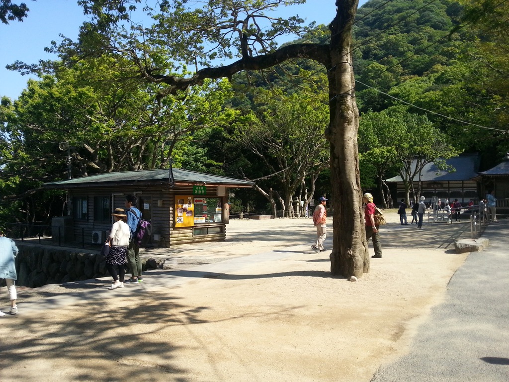 20160429_151630 (1)