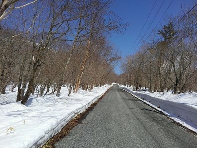 pic11