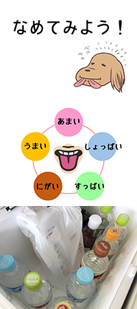 味覚