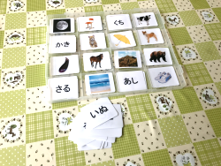 写真と文字のマッチング