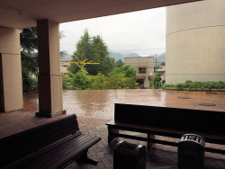 雨