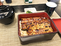 うなぎ