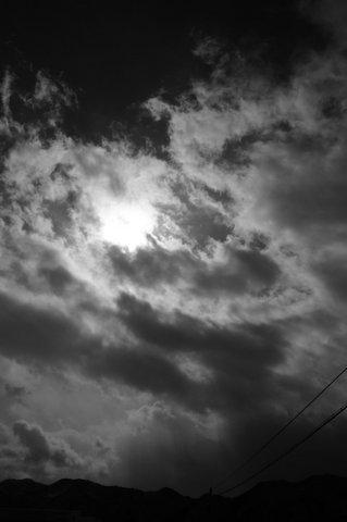 DSC03799