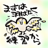 羽ばたく練習