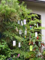 Tanabata