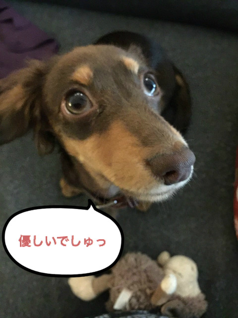 BlogPaint