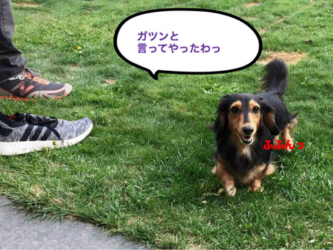 BlogPaint