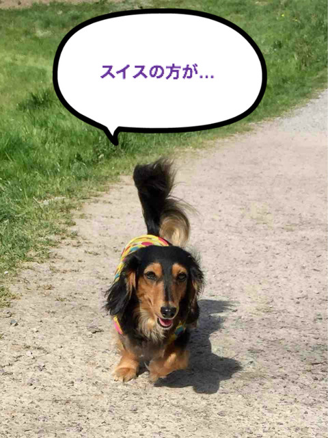 BlogPaint