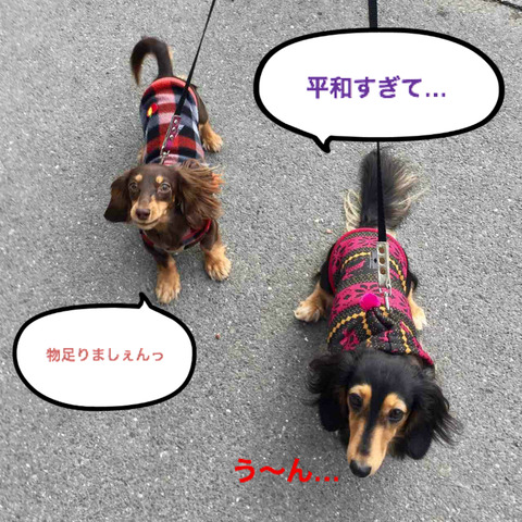 BlogPaint
