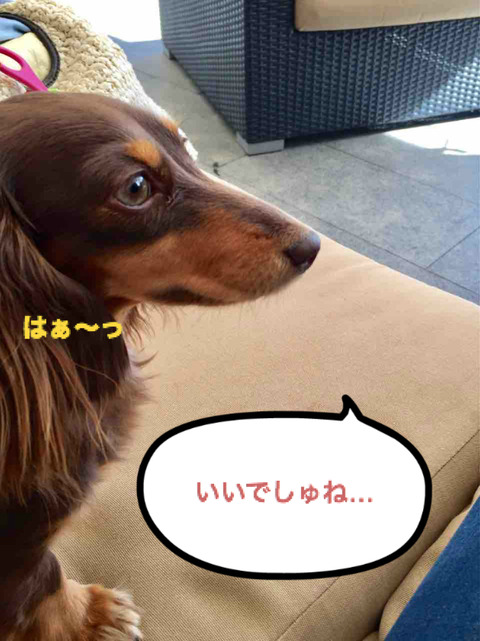 BlogPaint