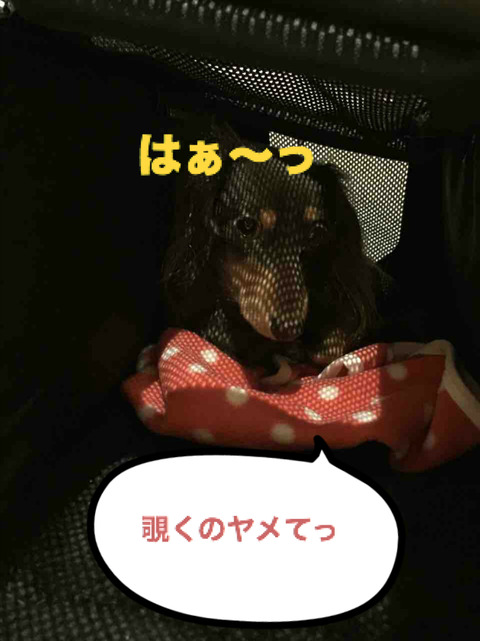 BlogPaint