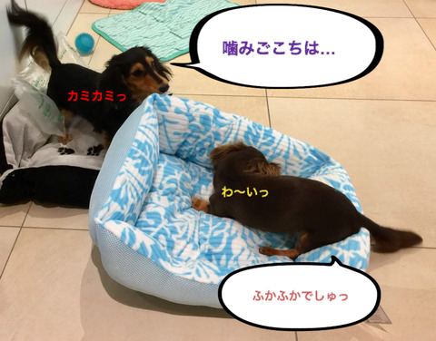 BlogPaint