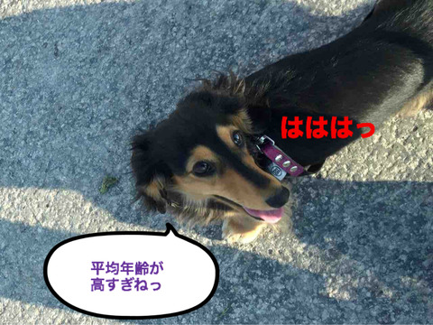 BlogPaint
