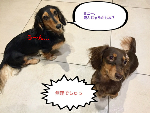 BlogPaint