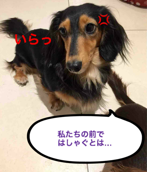 BlogPaint