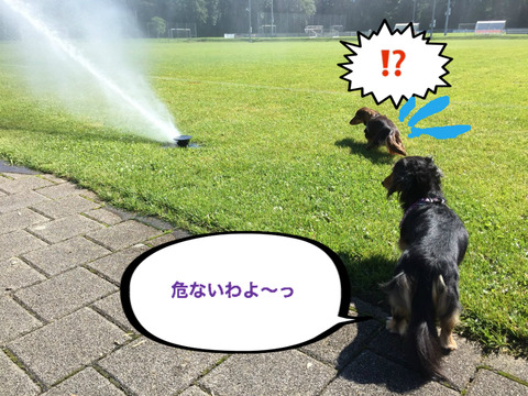 BlogPaint