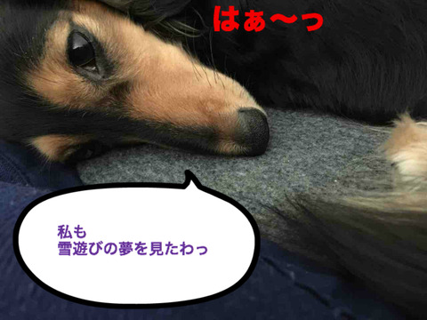 BlogPaint