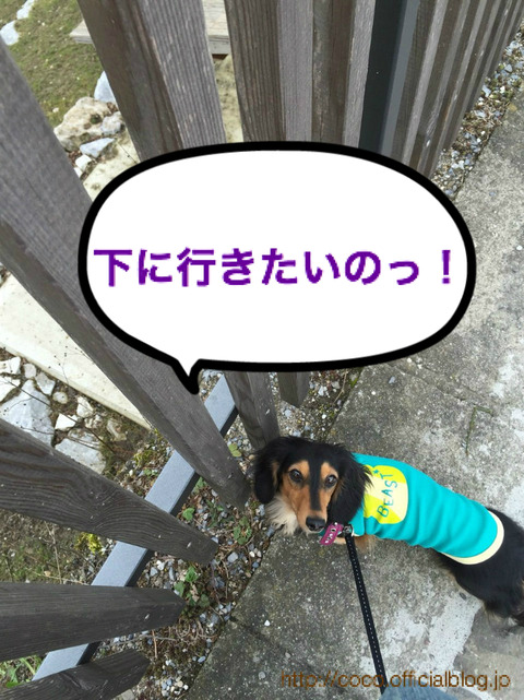 BlogPaint