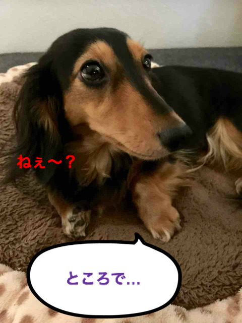 BlogPaint