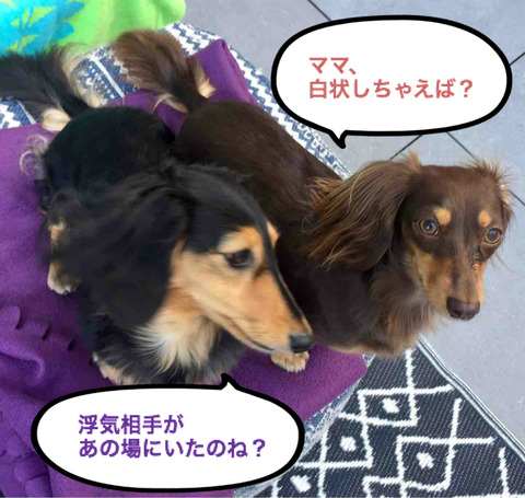 BlogPaint