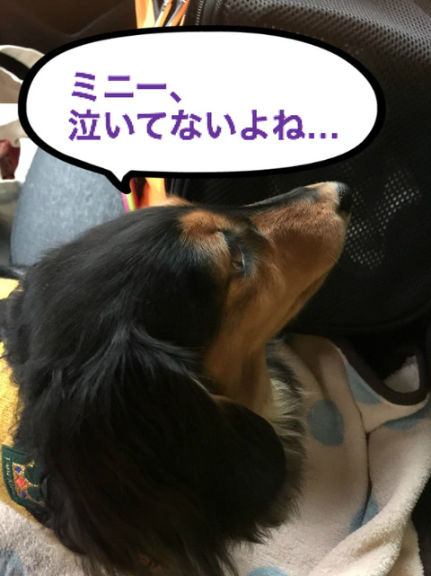 BlogPaint