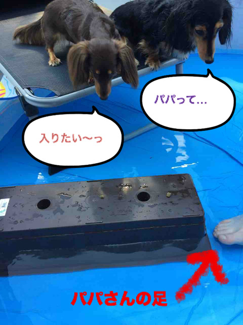 BlogPaint
