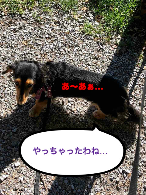 BlogPaint