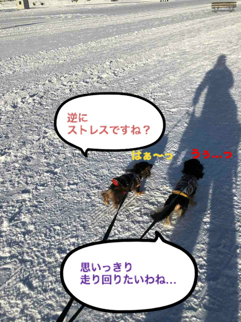 BlogPaint