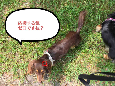 BlogPaint