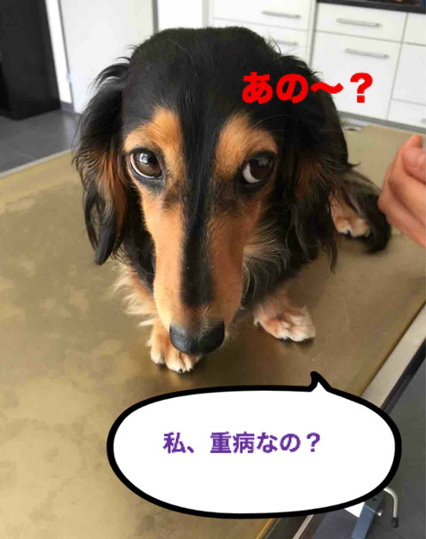 BlogPaint