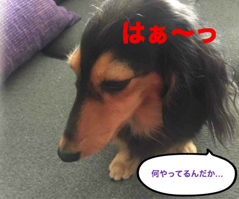 BlogPaint