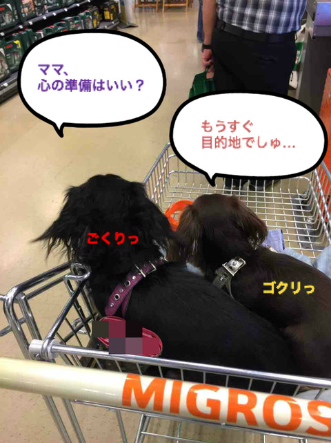 BlogPaint