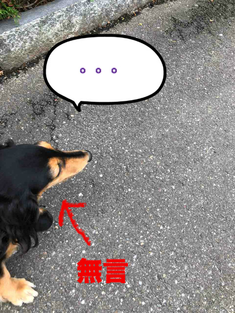 BlogPaint