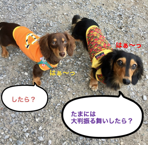 BlogPaint