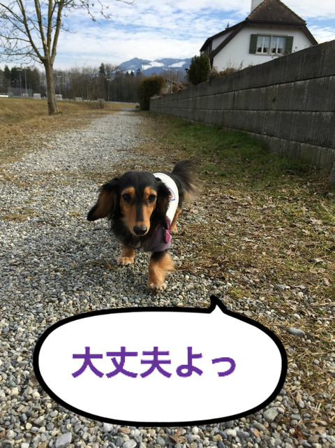 BlogPaint