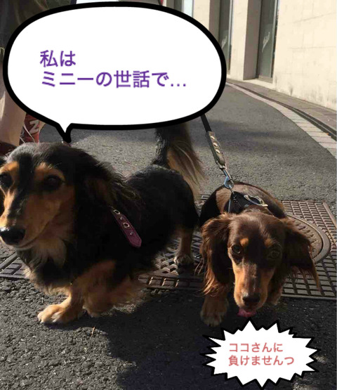BlogPaint
