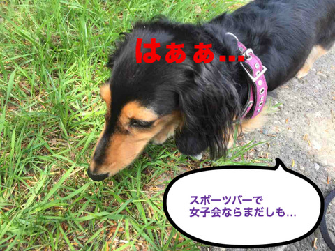 BlogPaint