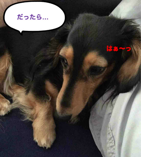 BlogPaint