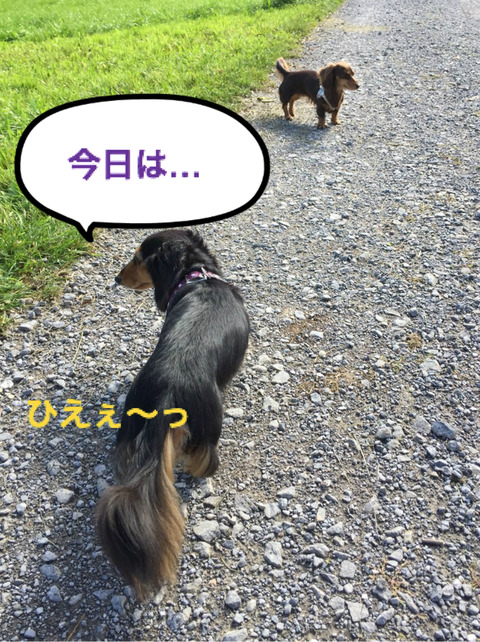 BlogPaint