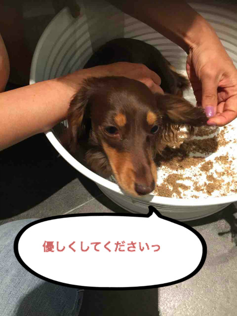 BlogPaint